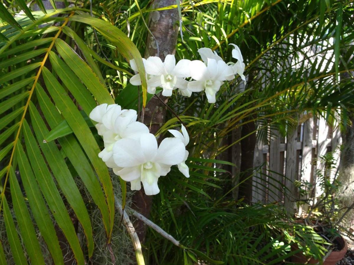 Suite Dreams Inn By The Beach Key West Exterior photo